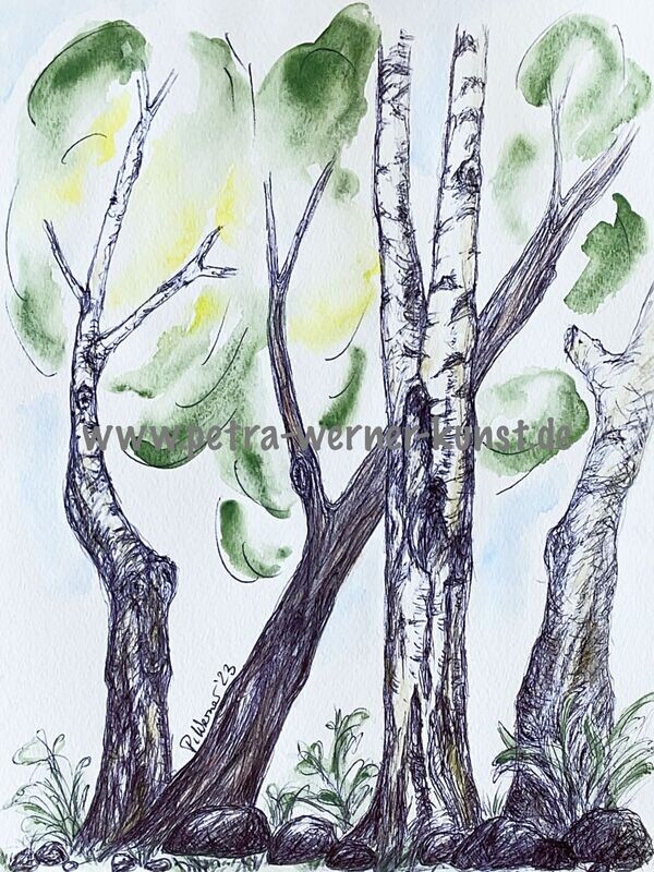 "Am Wegesrand", Kugelschreiber aquarelliert, 24cm x 30 cm (in hellem Rahmen), 2023