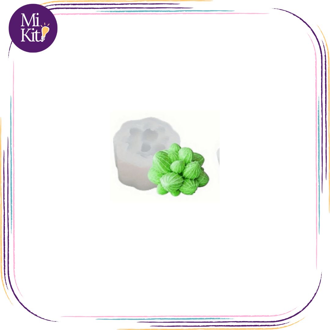 Molde de silicón suculenta Haworthia Cooperi