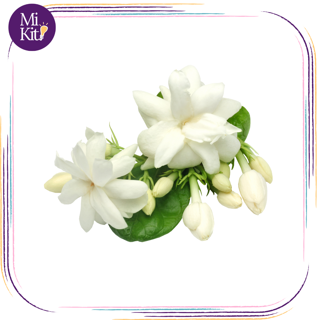 Aroma de Jazmín de 30ml