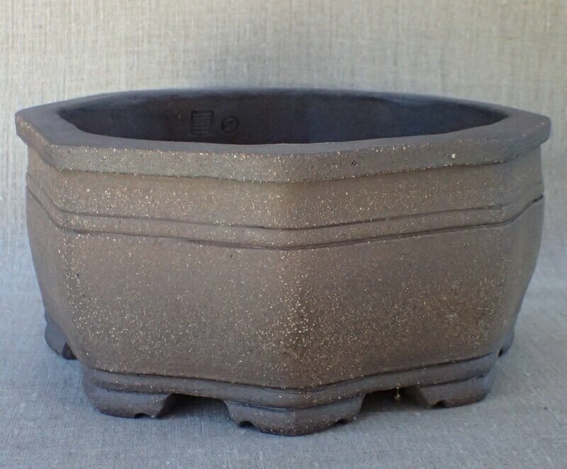 Pot Bonsaï Rond