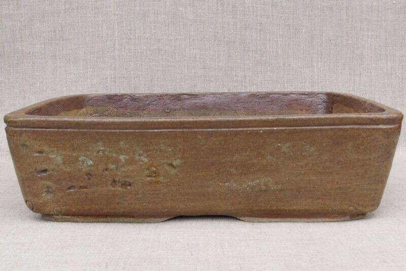 Pot Bonsaï Rectangle