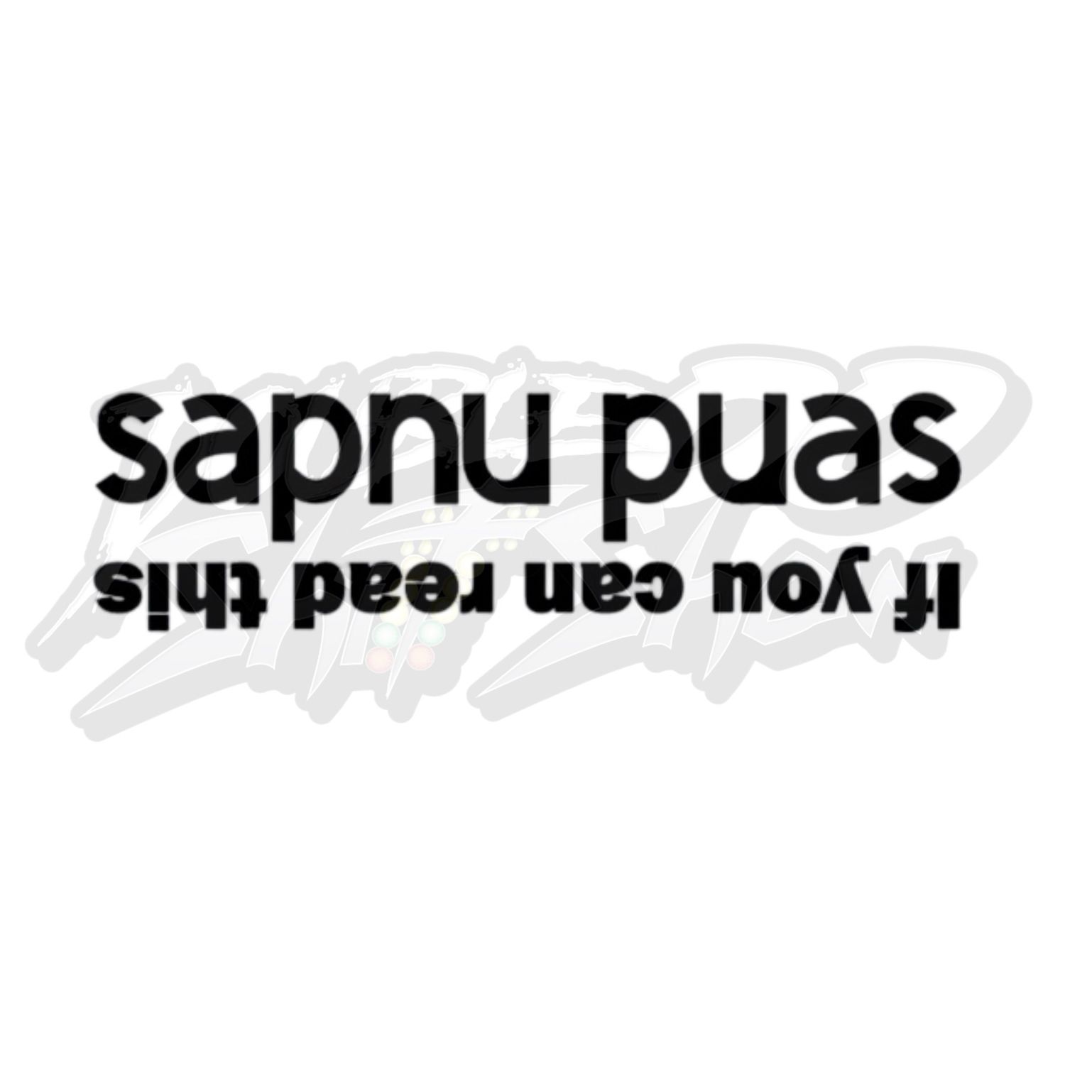 sapnu puas sticker