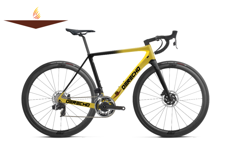 Bicicleta para abogados