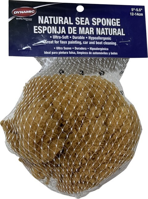 Dynamic 5" Natural Sea Sponge