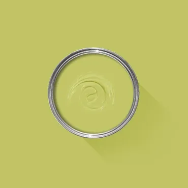 Farrow & Ball Colour: Acid Drop No. 9908