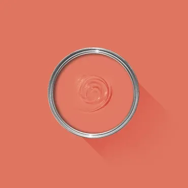 Farrow & Ball Colour: Bisque No. 9811