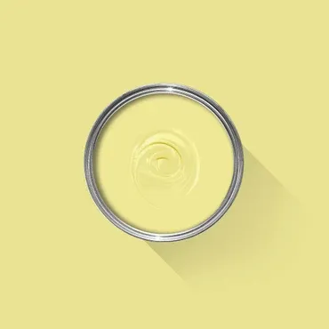 Farrow & Ball Colour: Butterweed No. 9802