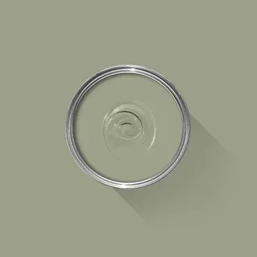 Farrow & Ball Colour: Lichen No. 19