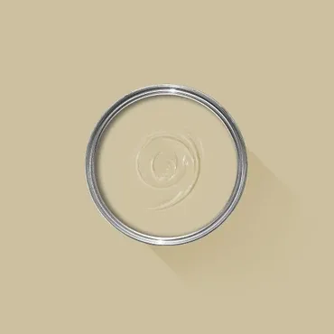 Farrow & Ball Colour: Light Stone No. 9