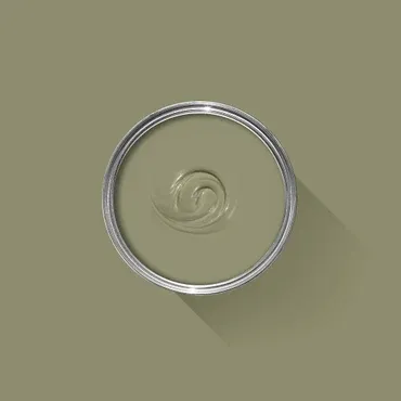 Farrow & Ball Colour: Olive No. 13
