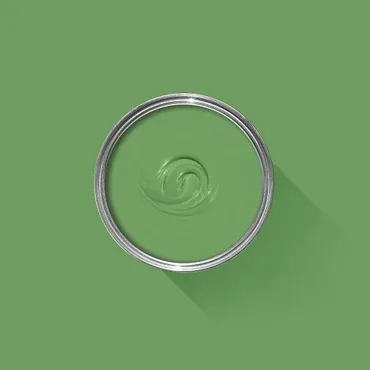 Farrow & Ball Colour: Raw Tomatillo No. CB6