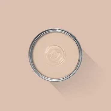 Farrow & Ball Colour: Setting Plaster No. 231