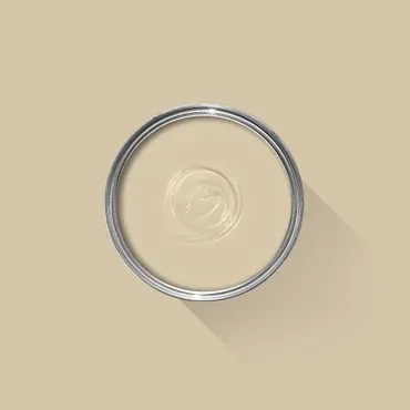 Farrow & Ball Colour: Savage Ground No. 213