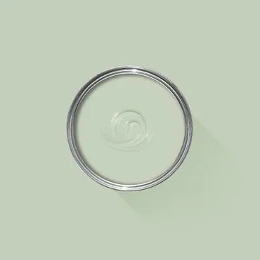 Farrow & Ball Colour: Palm No. CC4