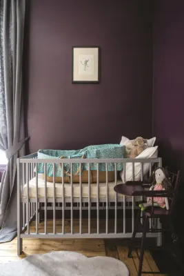 Purple Paint Colours