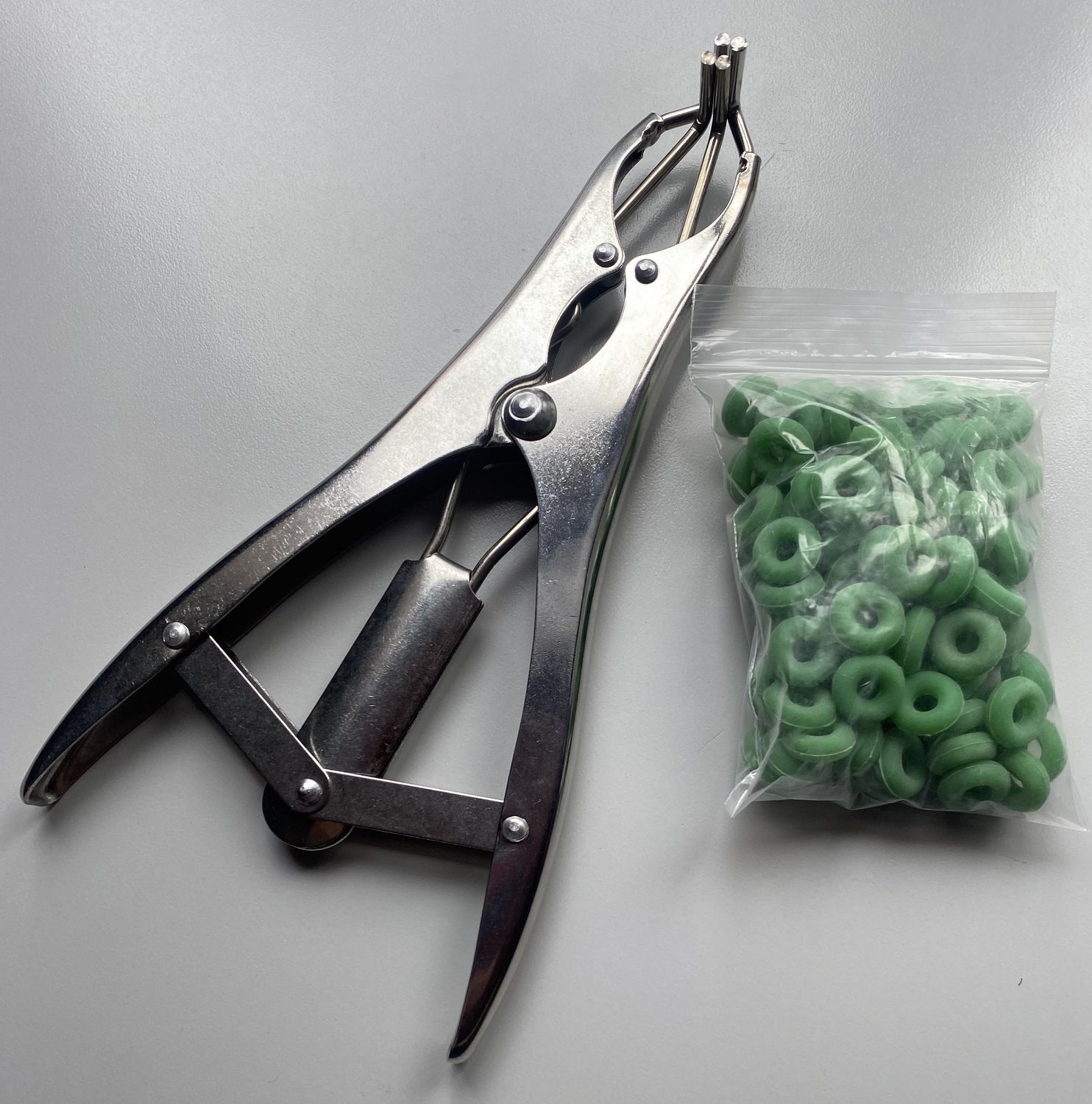 Bacchus Baby Bander with bands