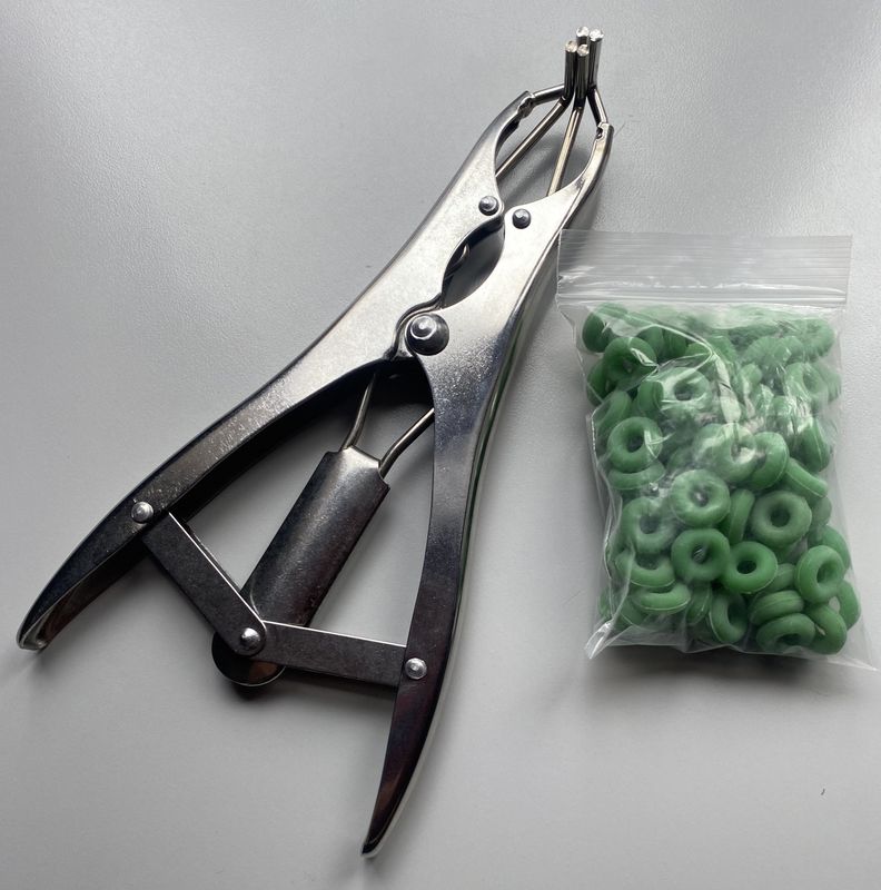 Bacchus Baby Bander with bands