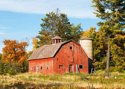 Barnyard Bargains