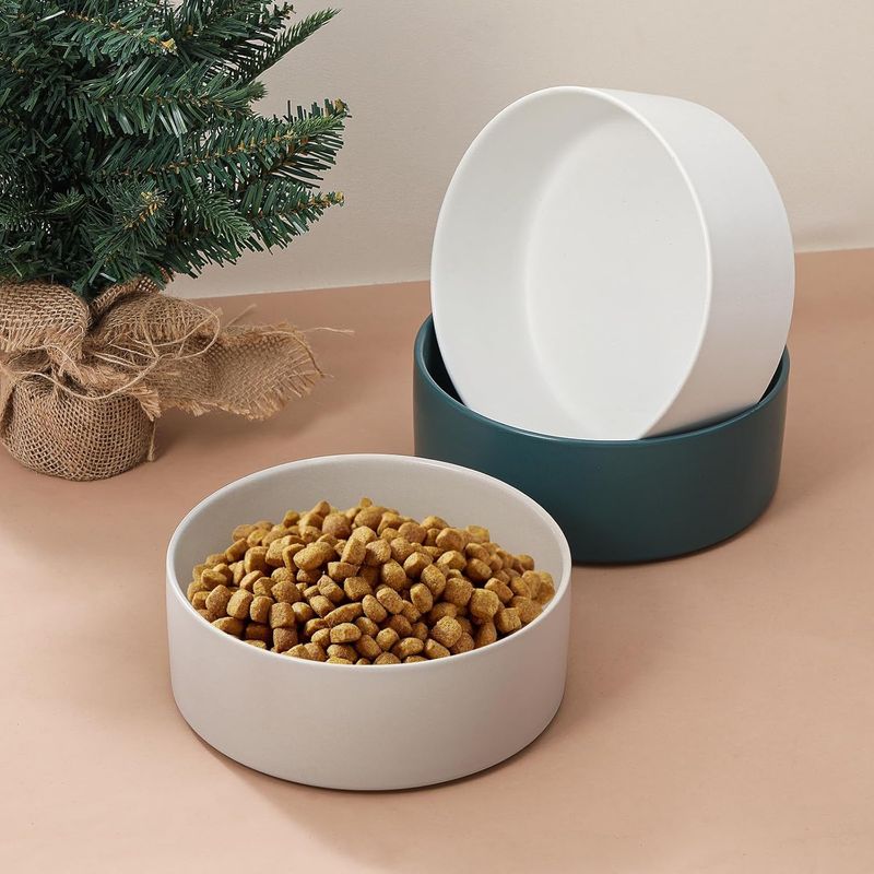 Large Green Ceramic Dog Bowl