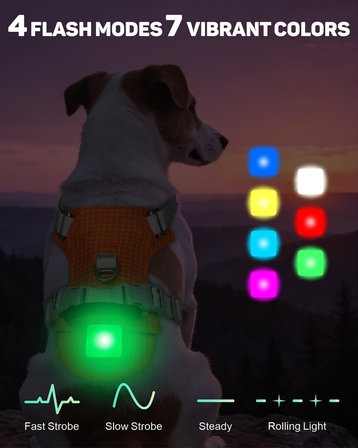Lighted Dog Harness Large Orange