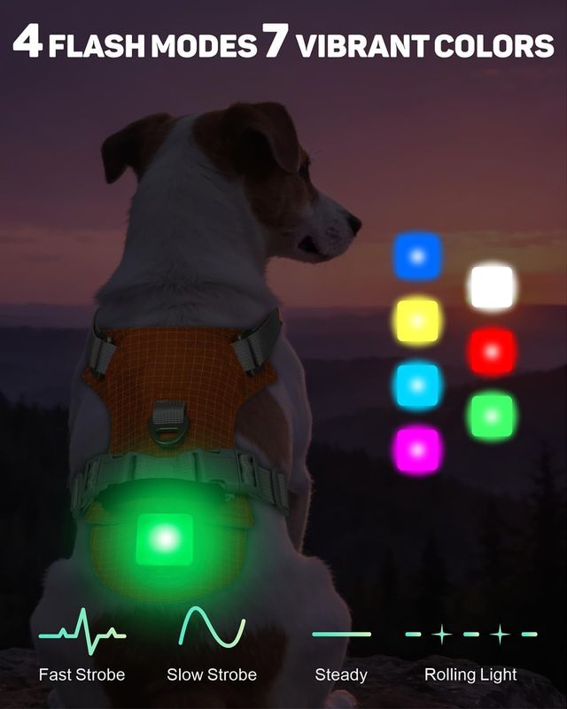 Lighted Dog Harness Large Orange