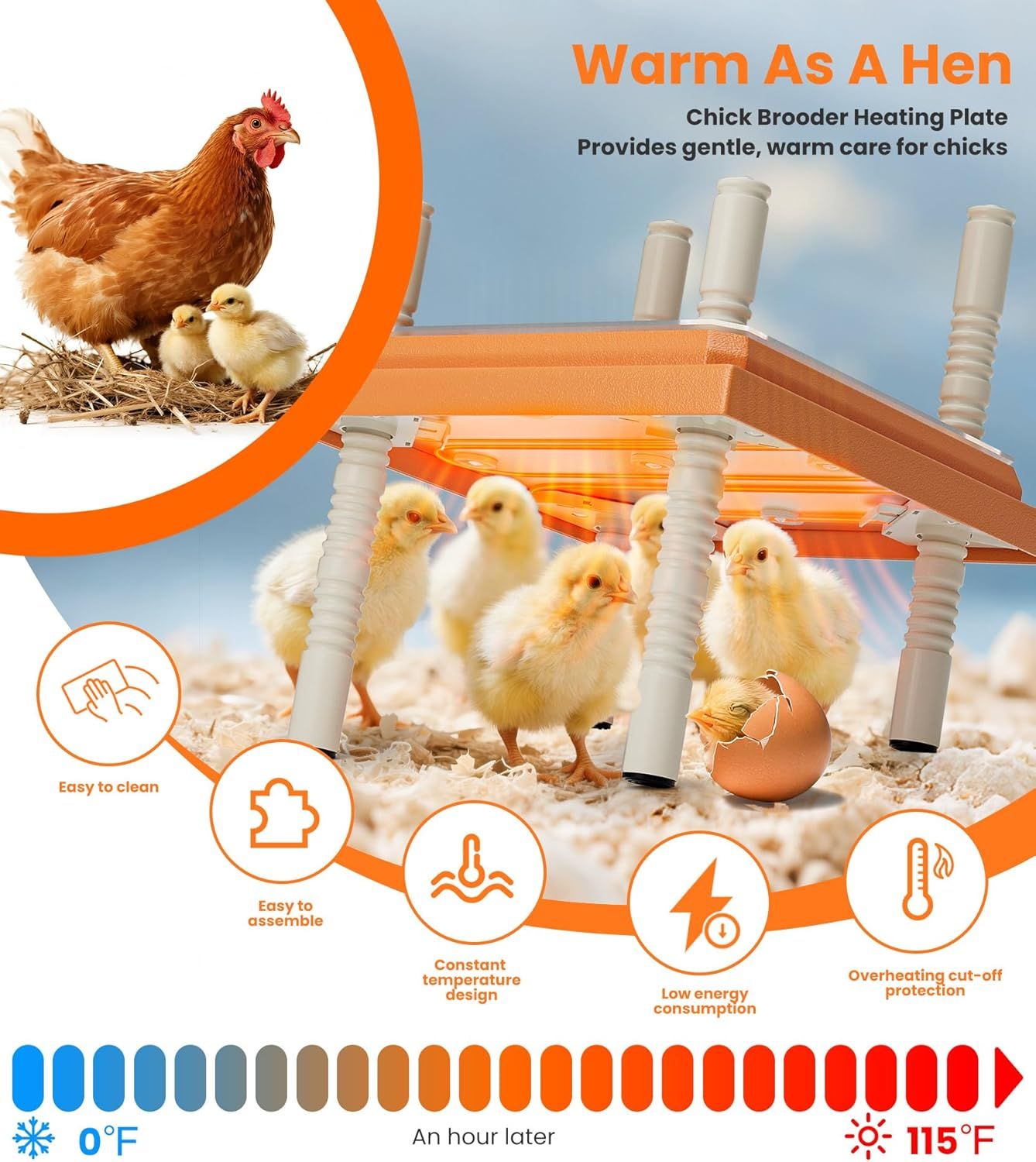 10" x 10" Chick Heating Plate