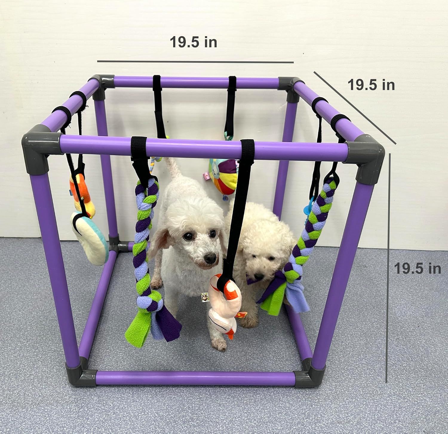 Puppy Play Gym for Small Dogs