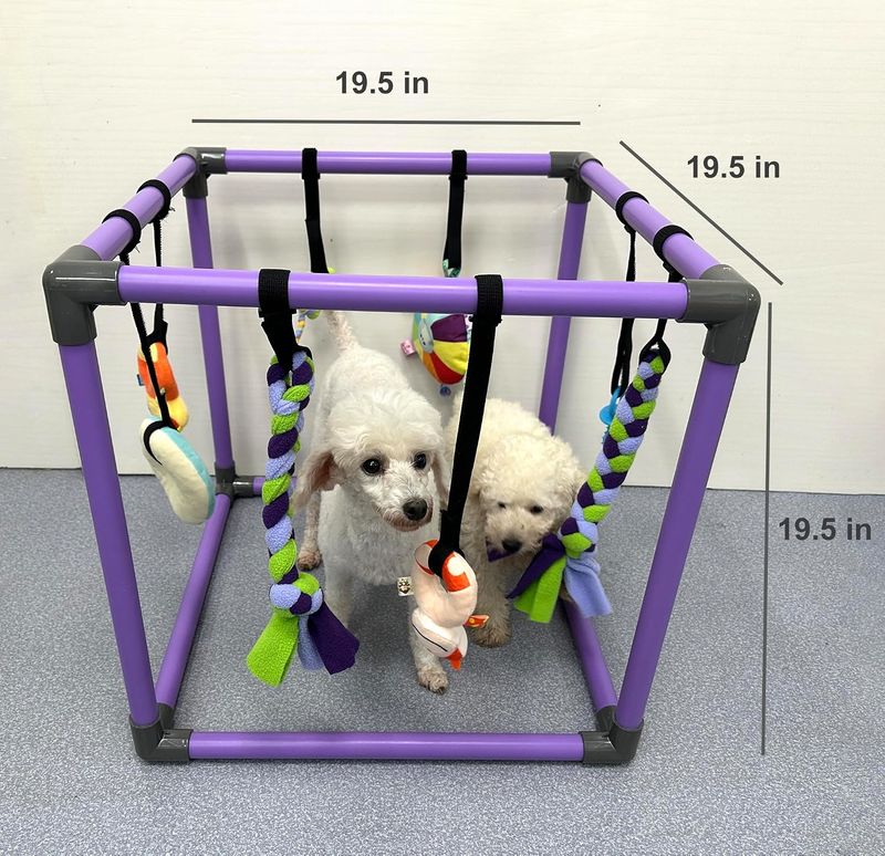 Puppy Play Gym for Small Dogs