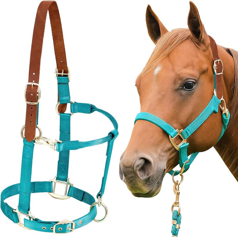 Breakaway Horse Halter