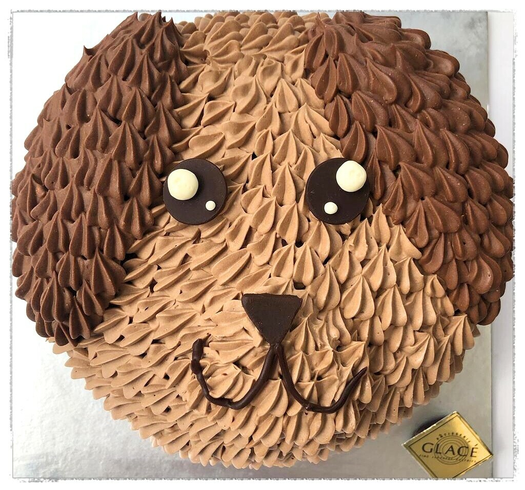 Order Zoo Themed Birthday Cake Online | Animal Cake – Expressluv-India