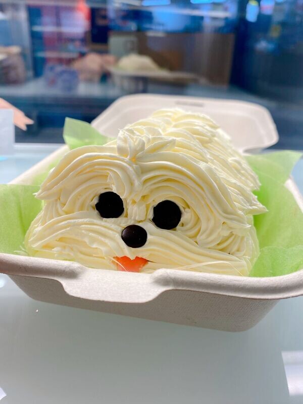 Bento Doggy