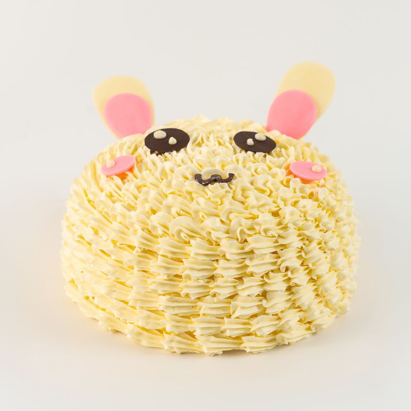 Rabbit