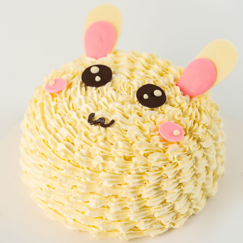 Rabbit