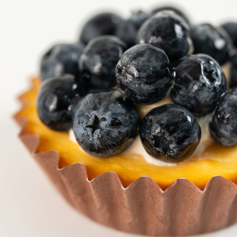 Fruit Tart