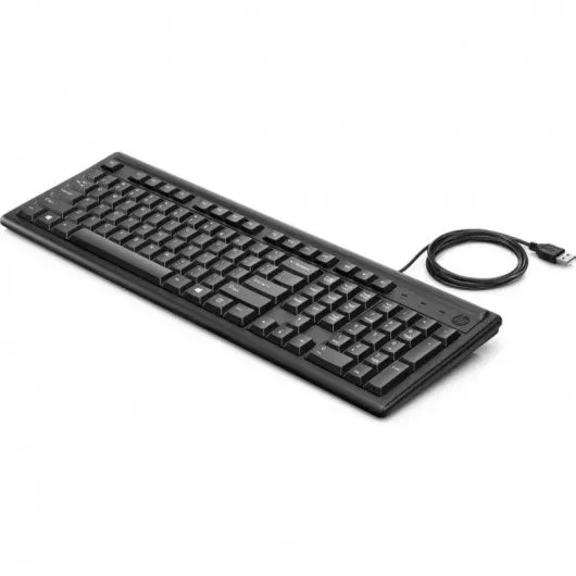HP 100 Teclado USB - 12 Teclas de Funcion y 3 Teclas de Acceso Rapido - 107 Teclas en Total