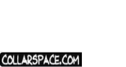 Collarspace Members Area
