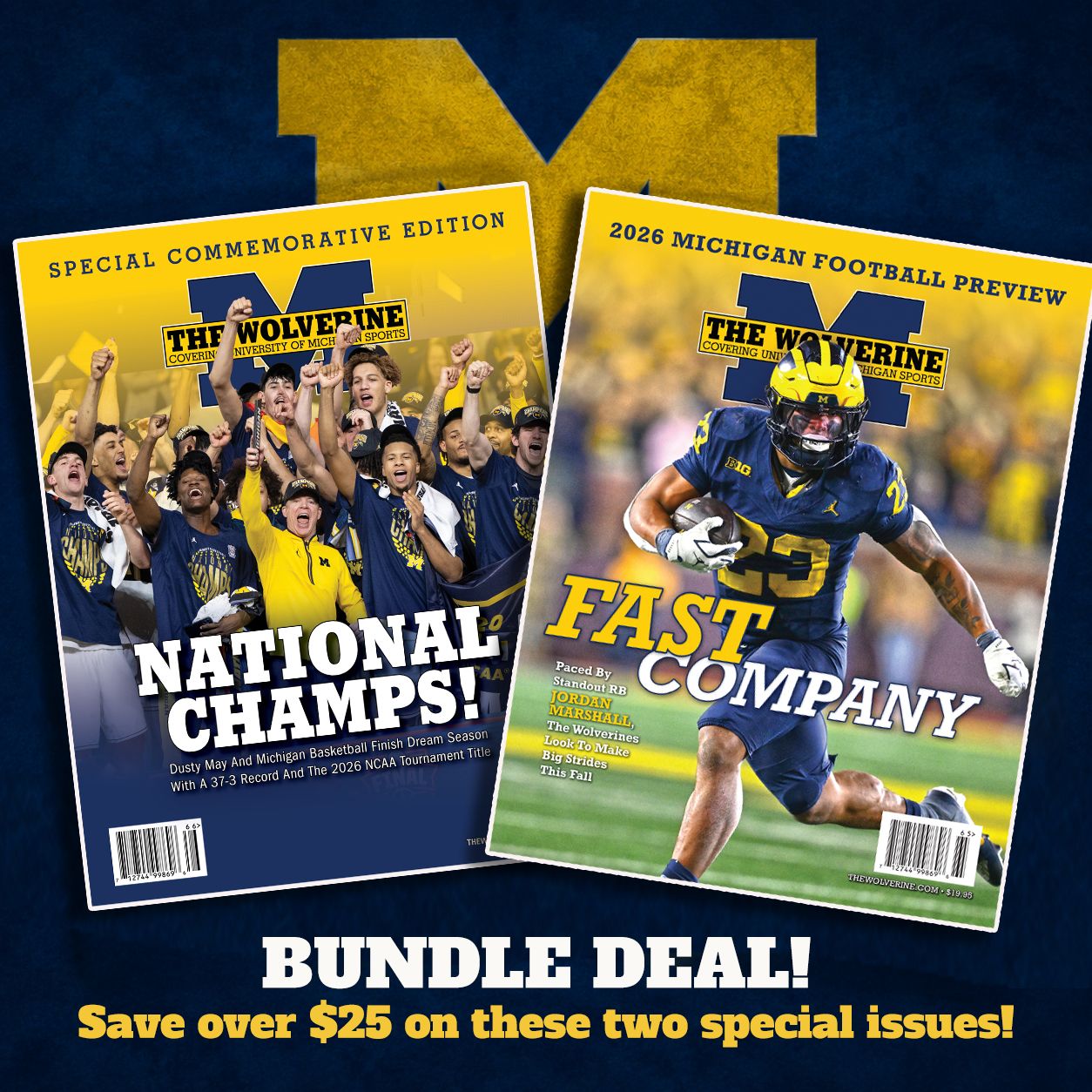 Ultimate Michigan Sports Fan Bundle
