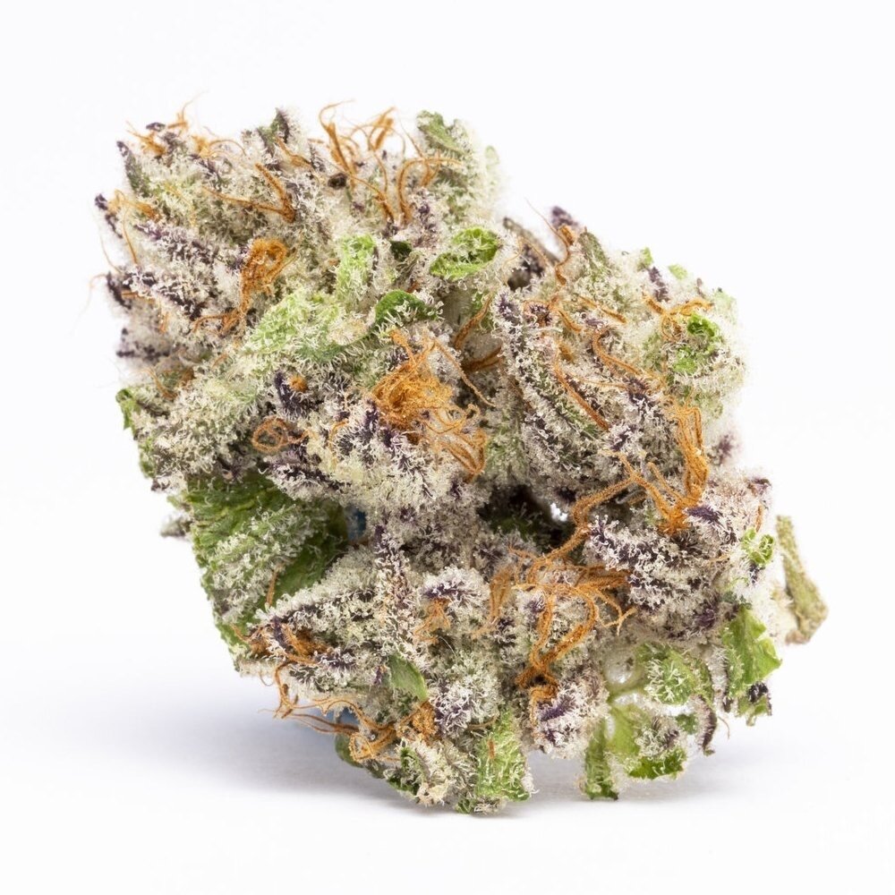 Lava Cake strain is a cross between Grape Pie, a delicious and colorful ind...