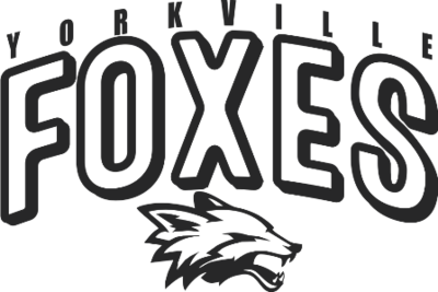 Yorkville Foxes Arc