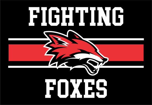 Fighting Foxes