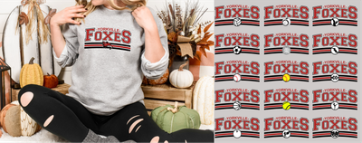 Yorkville Foxes Sport/Club