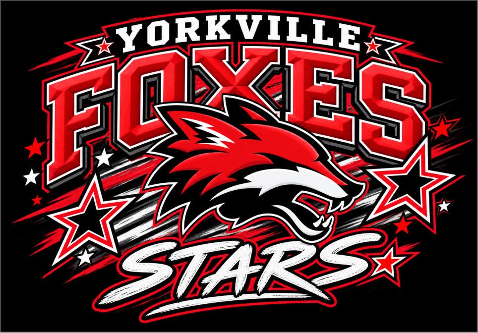 Foxes Stars