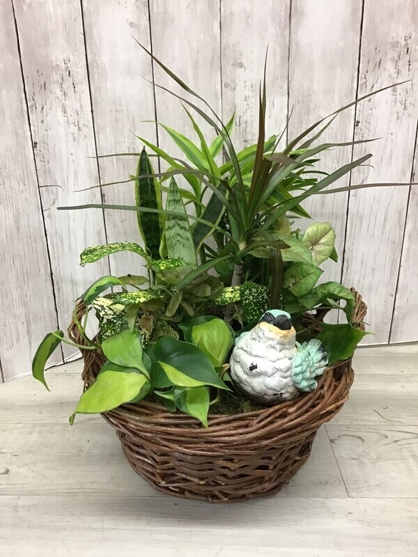 Tranquil Dishgarden with BIRD -Item #WFEBT-403 Tranquil Dishgarden with BIRD -Item #WFEBT-403