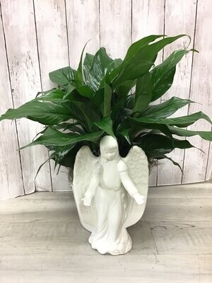 Ceramic Angel pot with green Peace Lily - Item #WFEBT-406