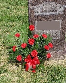 Fresh One Dozen Carnations Arrangement  ITEM #WFEBT-5901