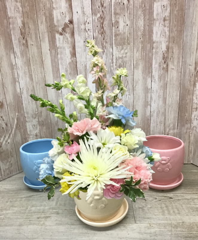 Welcome Baby Arrangement - Item #WFEBT-2005 -
