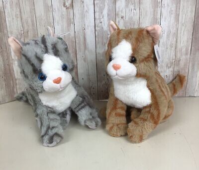 Gray or Orange Cat **SOLD AS ADD-ON ONLY, NOT BY ITSELF**