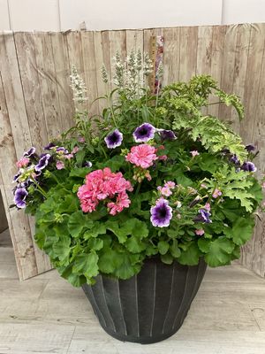 Extra Large Outdoor planter for SUN - Mixed Annuals ***Colors and Flowers WILL Vary*** Item #WFEBT-451