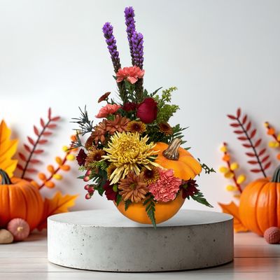 Autumn Collection