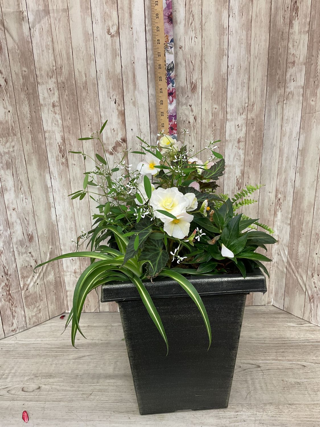 Outdoor planter for SHADE with mixed annuals ***COLORS AND FLOWERS WILL VARY*** Item #WFEBT-455